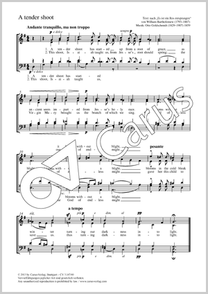 Otto Goldschmidt: A tender shoot - Noten | Carus-Verlag