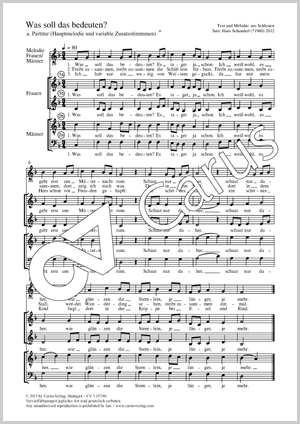 Hans Schanderl (arr.): Was soll das bedeuten? - Noten | Carus-Verlag