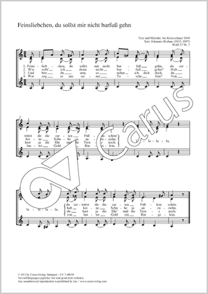 Feinsliebchen, du sollst mir nicht barfuß gehen Score, separate edition from a choral collection