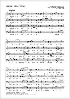 Surrexit pastor bonus (Auferstanden ist der gute Hirte) Partitur, Einzelausgabe aus Chorbuch