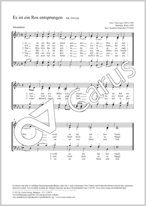 Es ist ein Ros entsprungen Partitur, Einzelausgabe aus Chorbuch, In dieser Ausgabe / in this edition: Coro SATB, [Org]