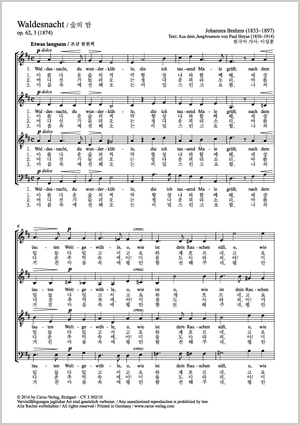 Thumbnail: Johannes Brahms: Waldesnacht