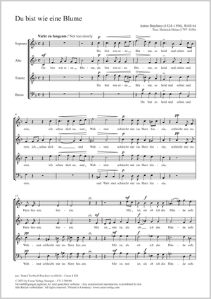 Thumbnail: Anton Bruckner: Du bist wie eine Blume