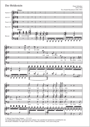 Der Holdestein Score