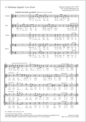 Thumbnail: Johannes Brahms: Verlorene Jugend
