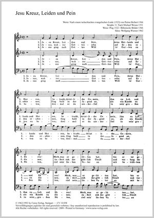 Jesu Kreuz, Leiden und Pein Score