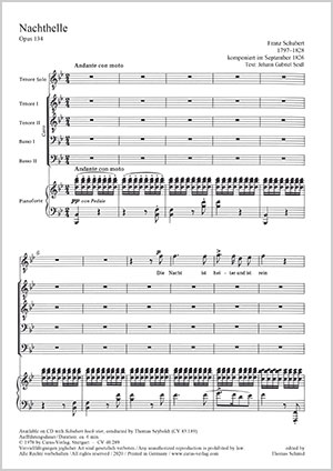 Thumbnail: Franz Schubert: Nachthelle