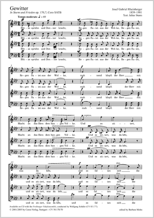 Gewitter aus: In Sturm und Frieden. Acht Lieder und Gesänge Score