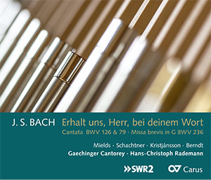 Thumbnail: Johann Sebastian Bach: Erhalt uns, Herr, bei deinem Wort (Rademann)