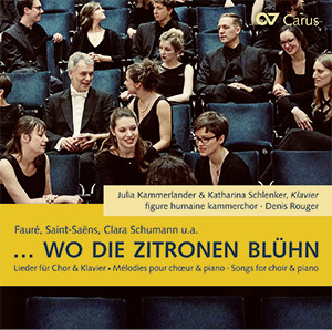 Thumbnail: ...wo die Zitronen blühn (figure humaine kammerchor)