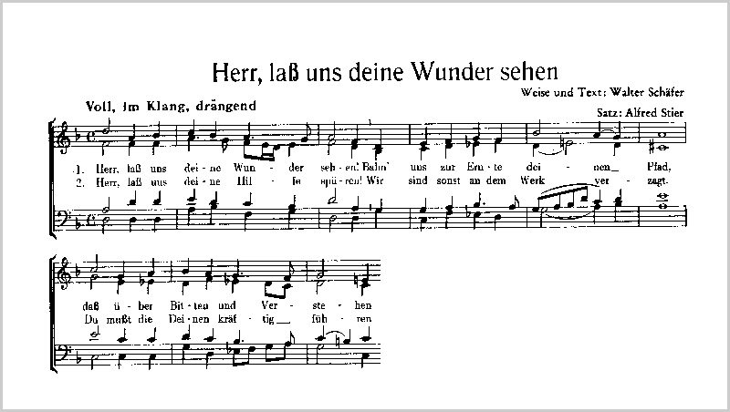 Bekanntschaften russland picture 4