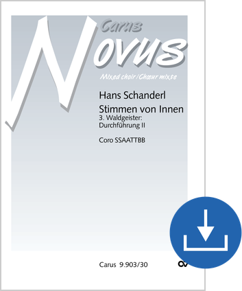 3. Waldgeister: Durchführung II